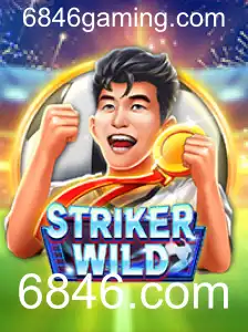 Descubra o Mundo de StrikerWILD: Aventura e Estratégia em 6846.com